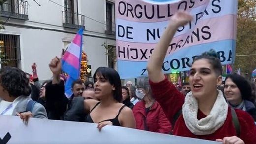 El colectivo trans manifestándose en Madrid