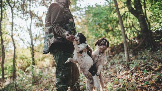 Unidas Podemos cede y apoya la 'ley de bienestar animal' dejando fuera a los perros de caza