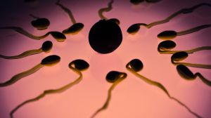 El prometedor anticonceptivo definitivo para hombres que incapacita espermatozoides