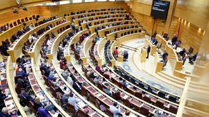 Ciudadanos salva la Ley de bienestar animal en el Senado, que fue acribillada por la oposición