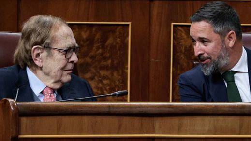 Tamames se despide repasando la intervención de todos los grupos sin pedir activamente el voto