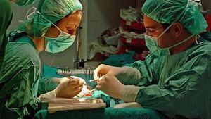 Los trasplantes crecen un 23% y recuperan las cifras prepandemia