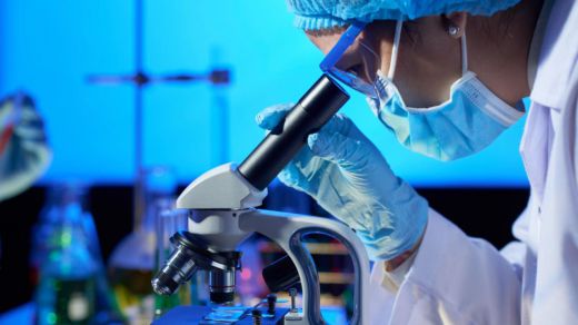 Otro hito científico: crean en China pseudoembriones de mono con células madre