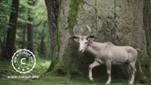 Horóscopo de hoy, miércoles 19 de abril de 2023