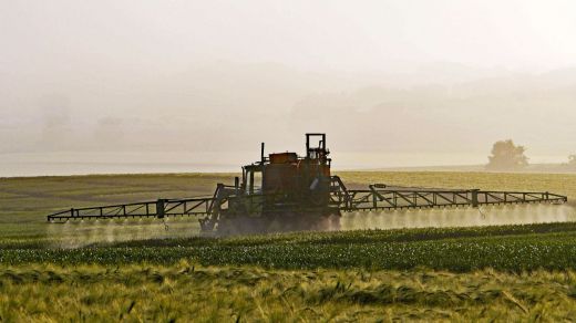 El Gobierno ayuda a casi un millón de agricultores y ganaderos con rebajas fiscales por la sequía