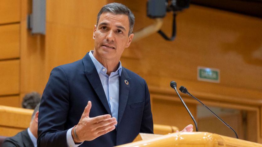 Pedro Sánchez, en el Senado