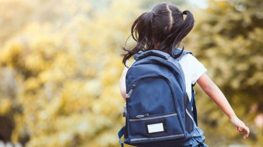 El acoso escolar afecta principalmente a niñas y se intensifica en los primeros cursos de secundaria