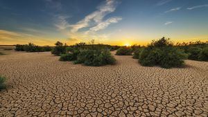 Alarma sequía: las reservas ya están por debajo del 50% de su capacidad en pleno mes de mayo