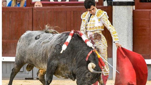 Natural de Álvaro Alarcón al toro de su doctorado