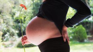 Sentencia pionera que defiende el derecho de la mujer embarazada a decidir: parto natural o cesárea