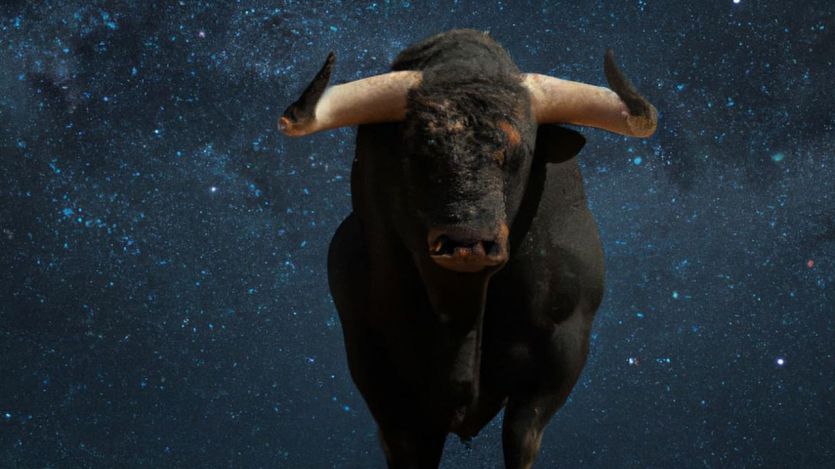 Tauro bajo las estrellas