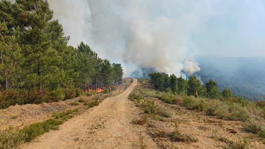 Estabilizado el incendio en Las Hurdes: los vecinos pueden volver a sus casas