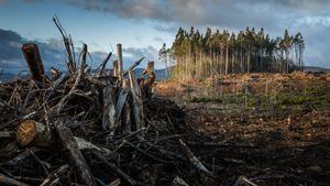 La 'Comisión de la Tierra' da la voz de alarma ante la situación del planeta: "Estamos en peligro"