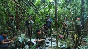 Los 4 niños perdidos en la selva colombiana desde hace 40 días, encontrados vivos