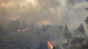 Preocupación por el incendio en La Palma, que asciende a nivel 2
