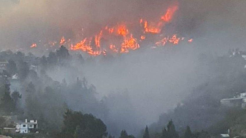 Incendio en Puntagorda, La Palma