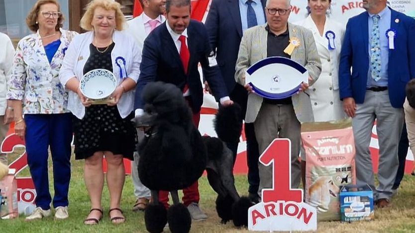 Ganadores de la Feria Internacional de Galicia