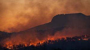 El incendio de Portbou (Girona) queda estabilizado tras arrasar 500 hectáreas