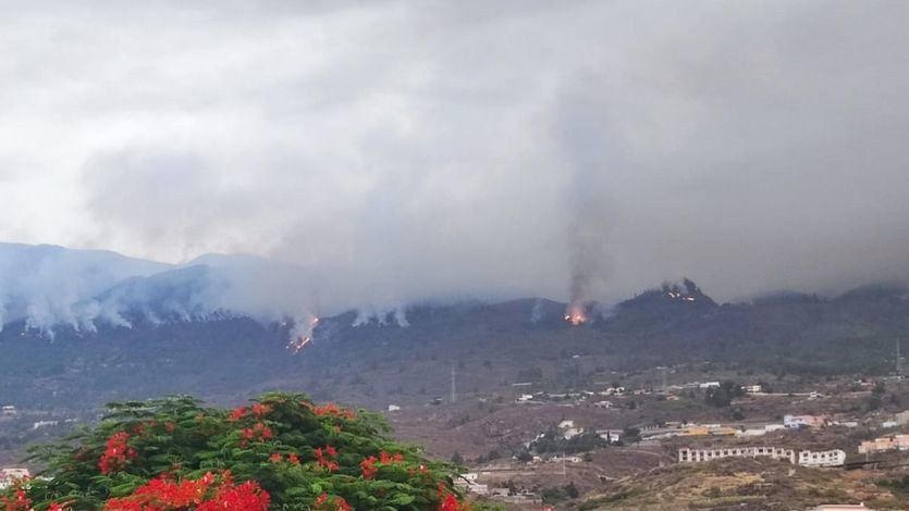 Incendio en Tenerife