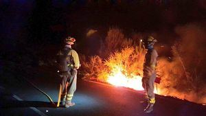 El incendio de Tenerife, fuera de control: ya supera las 1.610 hectáreas quemadas