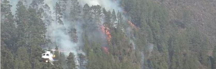 Incendio Canarias