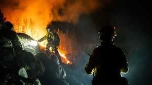 Incendio de Tenerife: la mayoría de los desalojados ya han podido volver a sus casas
