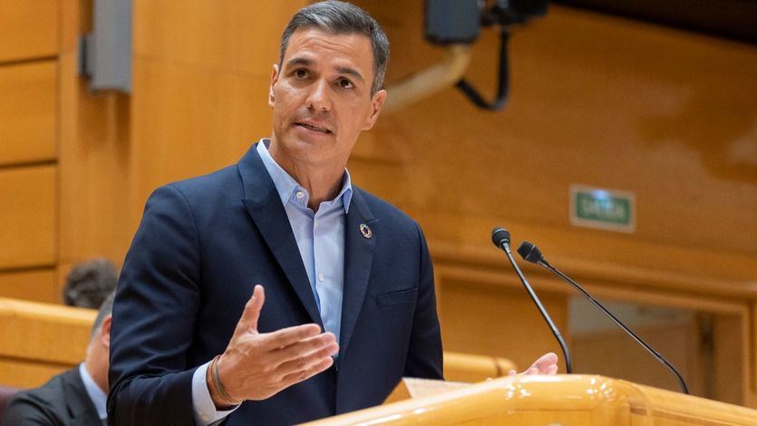 Pedro Sánchez, en el Senado