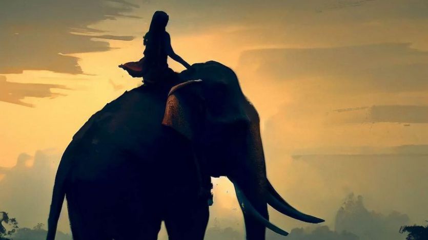 Horóscopos y zodiaco