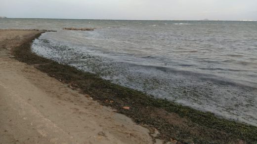 Mar Menor