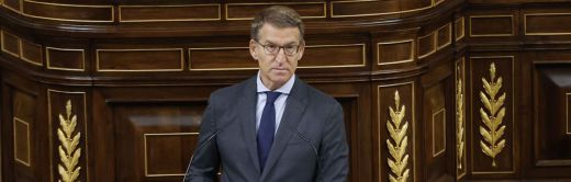 Feijóo, en la tribuna del Congreso