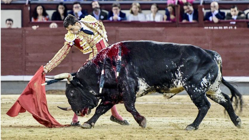 Uno de los redondos de Paco  de Toros de Cortés.