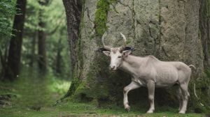 Horóscopo de hoy, viernes 5 de enero de 2024