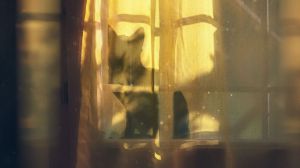 Horóscopo de hoy, martes 30 de enero de 2024