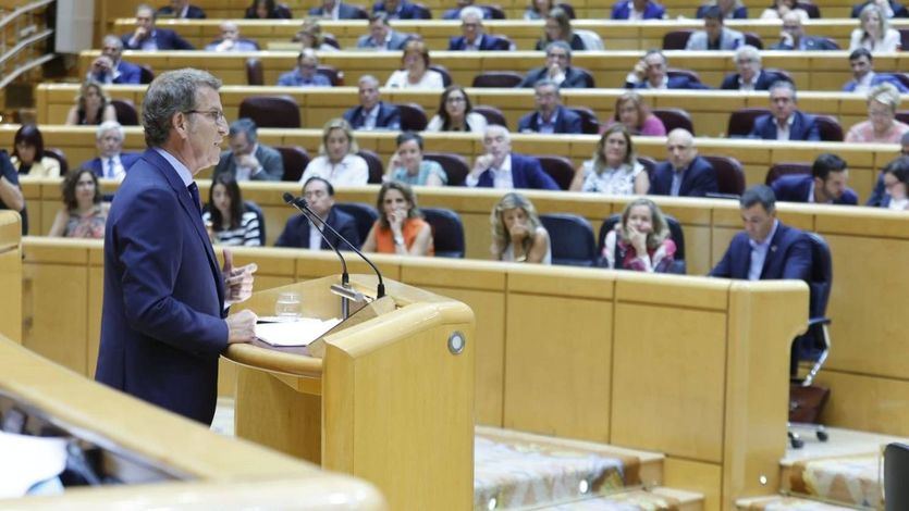 Alberto Núñez Feijóo en el Senado