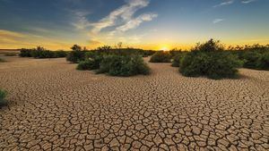 Cataluña declara la situación de emergencia por sequía