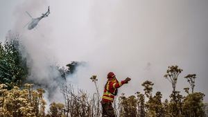 Chile sigue bajo las llamas: los incendios dejan ya 112 muertos