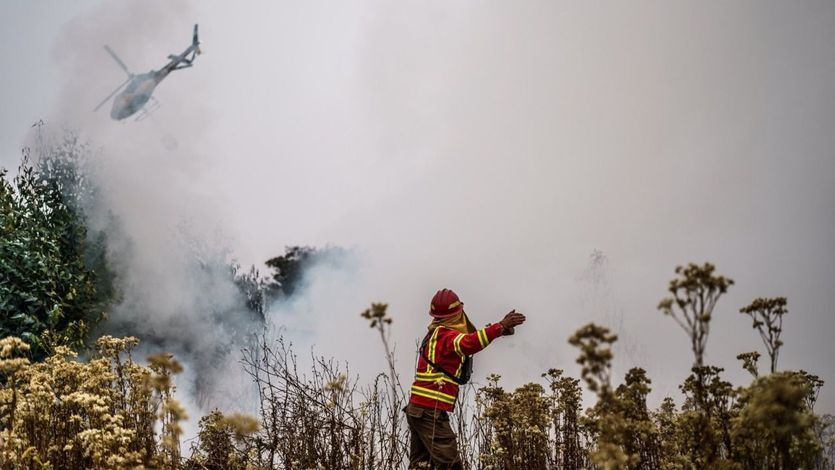 Incendios forestales de Chile