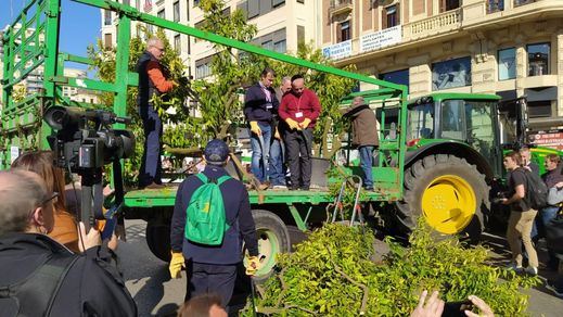 Protesta de agricultores en Valencia