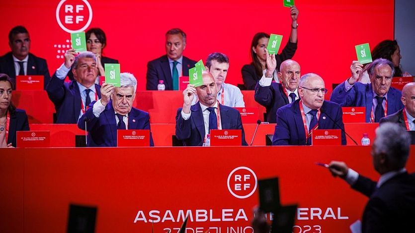 Asamblea de la RFEF