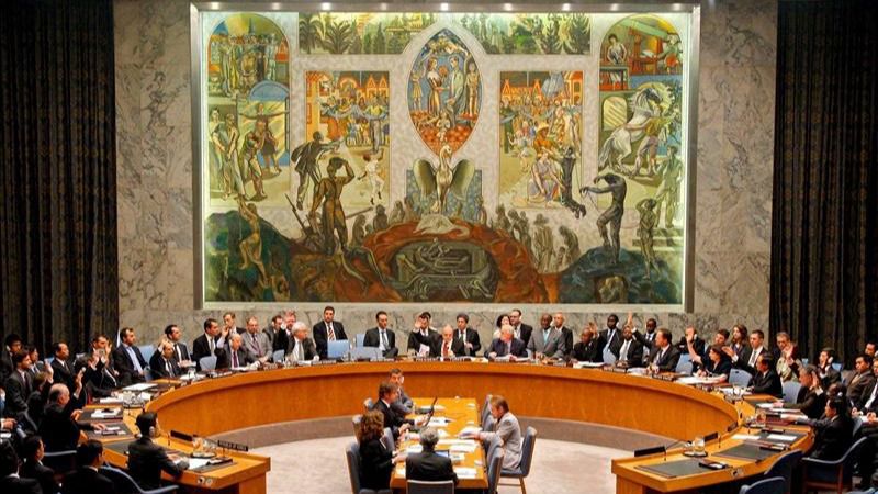 Consejo Seguridad de Naciones Unidas