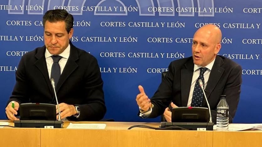 Raúl De la Hoz, portavoz del PP en Castilla y León y Carlos Menéndez, portavoz de Vox