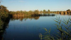 Las reservas de agua, al 63%, se recuperan tras la Semana Santa 'aguada' por la borrasca 'Nelson'