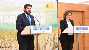 Ribera denuncia los mensajes negacionistas de "cierto partido" para supuestamente apoyar a los ganaderos