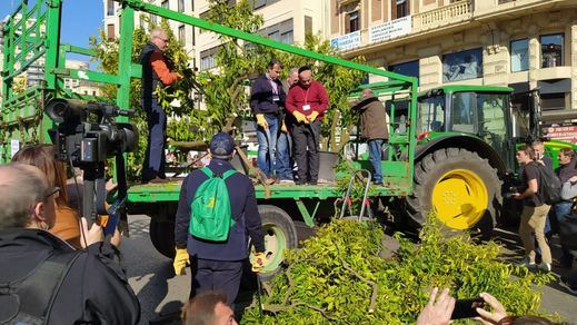 Protesta de agricultores en Valencia