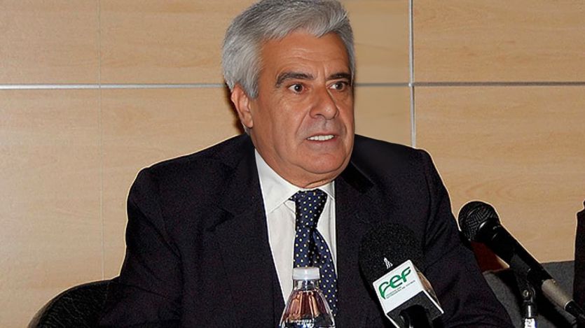 Pedro Rocha, presidente de la RFEF