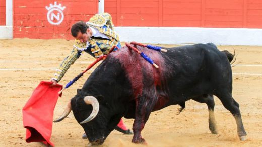 San Agustín de Guadalix: excelente corrida de toros/toros de Dolores Aguirre