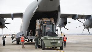 ¿Está obligado el Estado a repatriar a un enfermo grave del extranjero?