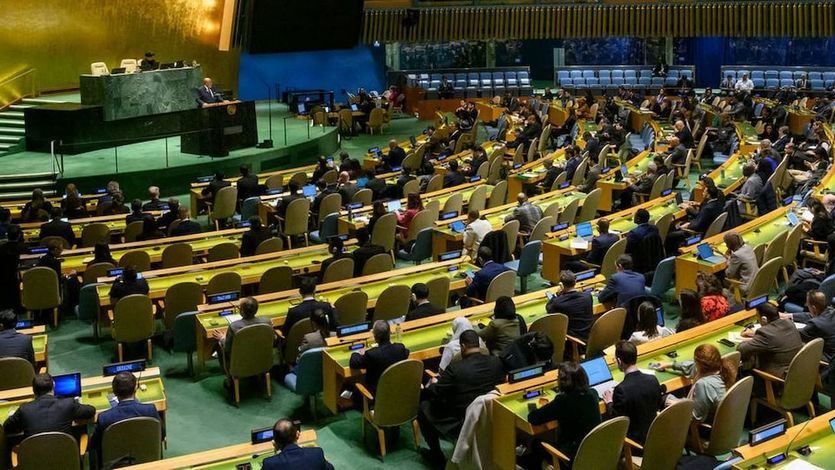 La Asamblea General de la ONU