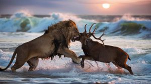 Horóscopo de hoy, sábado 20 de julio de 2024