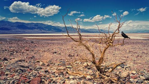 Zona desértica/calor extremo
